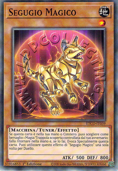 Segugio Magico
