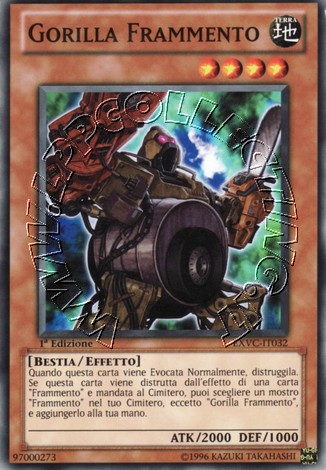 Gorilla Frammento