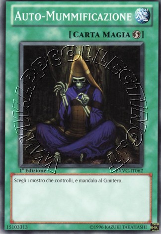 Auto-Mummificazione