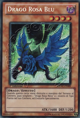 Drago Rosa Blu