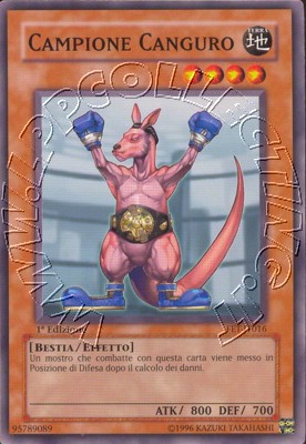 Campione Canguro