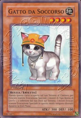 Gatto da Soccorso