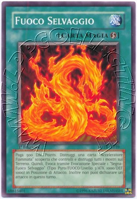 Fuoco Selvaggio