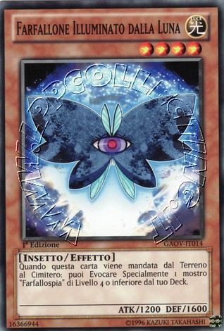 Farfallone Illuminato dalla Luna