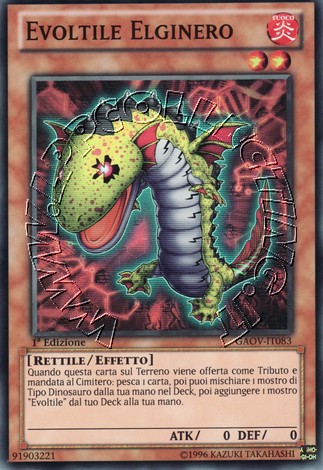 Evoltile Elginero