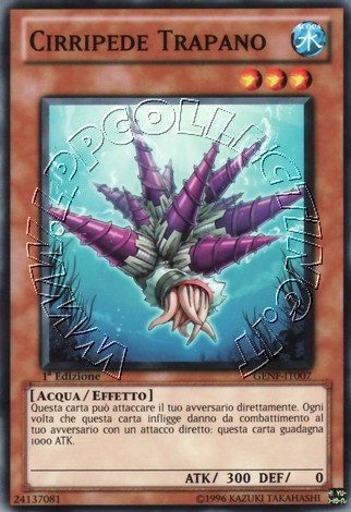 Cirripede Trapano