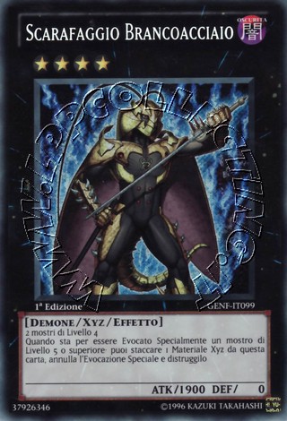 Scarafaggio Brancoacciaio
