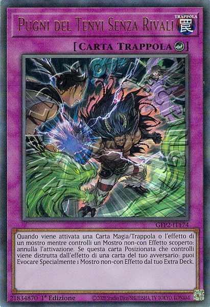 Pugni del Tenyi Senza Rivali