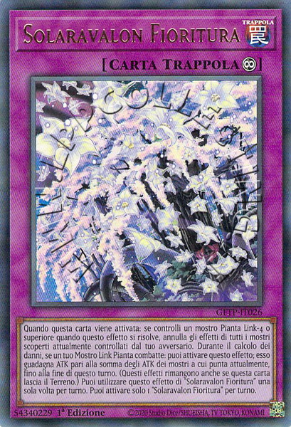 Solaravalon Fioritura