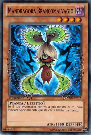 Mandragora Brancomalvagio
