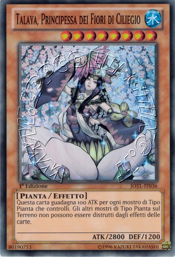 Talaya, Principessa dei Fiori di Ciliegio