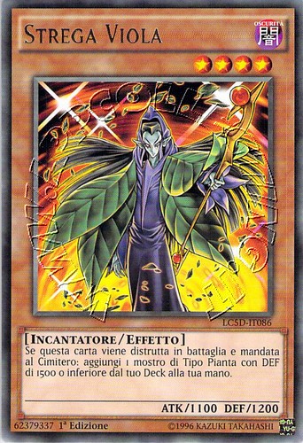 Strega Viola