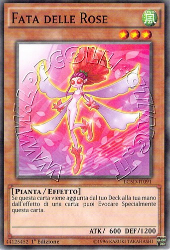 Fata delle Rose