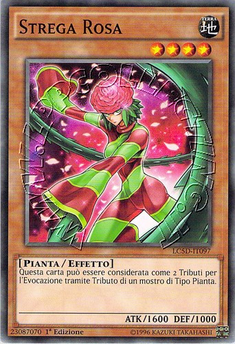 Strega Rosa