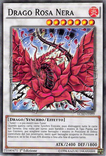 Drago Rosa Nera 
