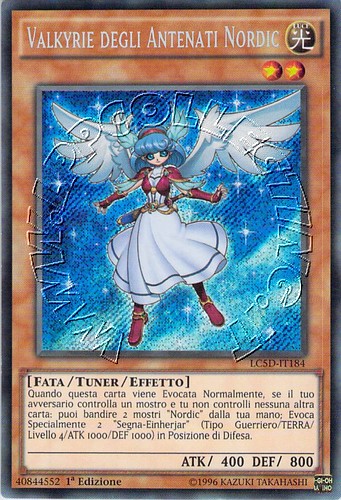 Valkyrie degli Antenati Nordic