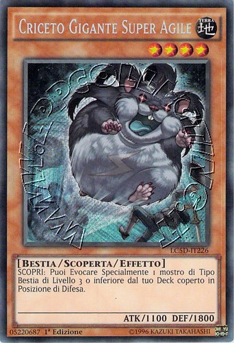 Criceto Gigante Super Agile
