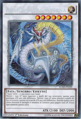 Antica Sacra Viverna