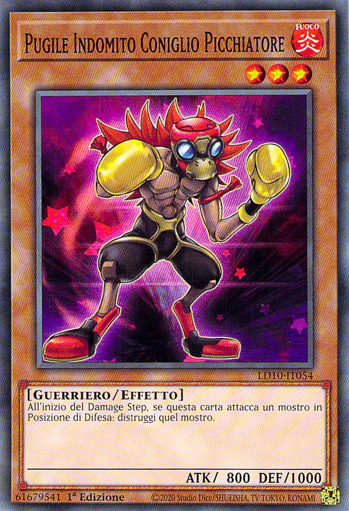 Pugile Indomito Coniglio Picchiatore
