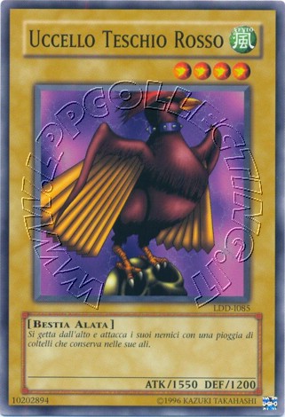 Uccello Teschio Rosso