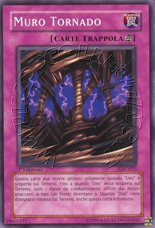 Muro Tornado