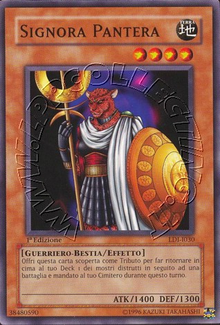 Signora Pantera