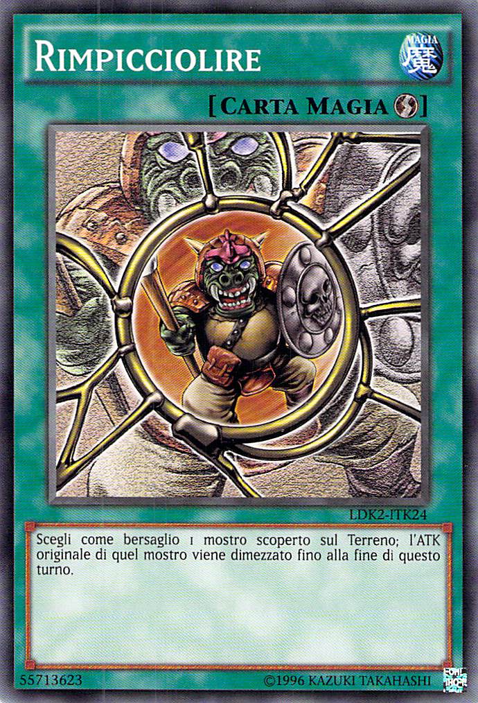 Rimpicciolire