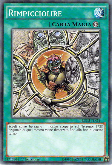 Rimpicciolire