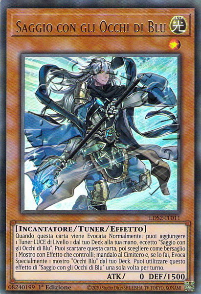 Saggio con gli Occhi di Blu
