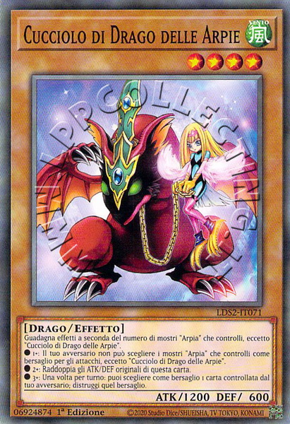 Cucciolo di Drago delle Arpie