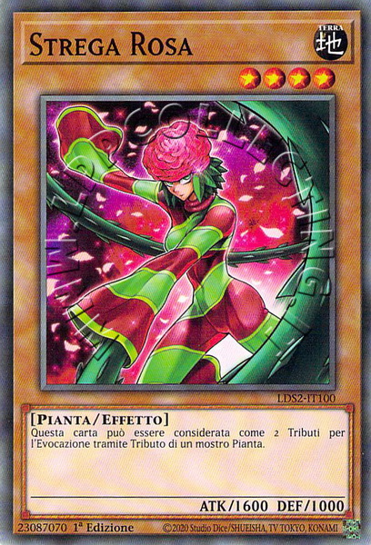 Strega Rosa
