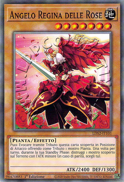 Angelo Regina delle Rose