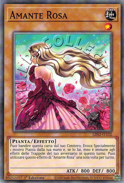 Amante Rosa