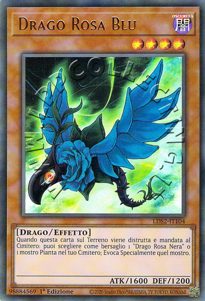 Drago Rosa Blu
