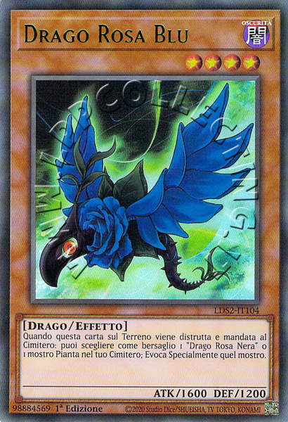 Drago Rosa Blu