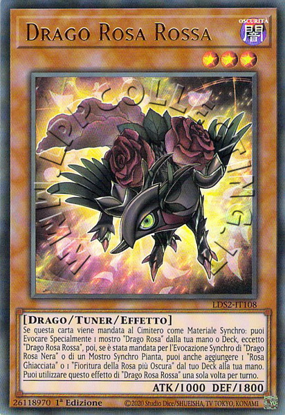 Drago Rosa Rossa