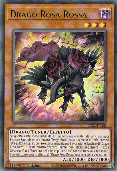 Drago Rosa Rossa