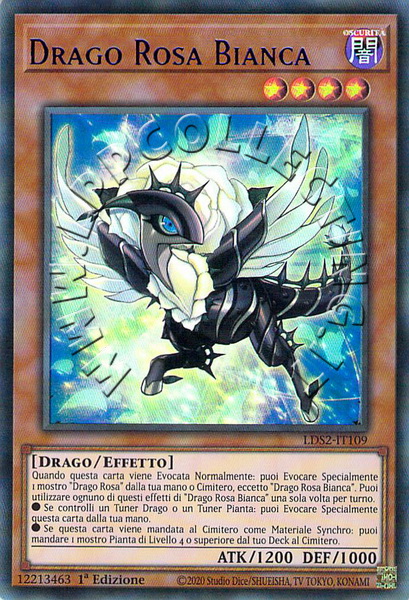 Drago Rosa Bianca