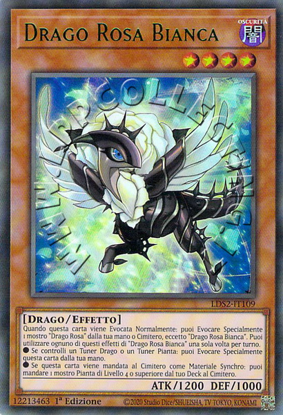 Drago Rosa Bianca