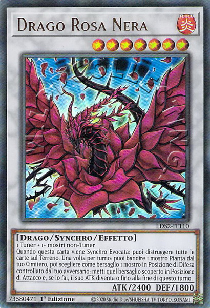 Drago Rosa Nera 