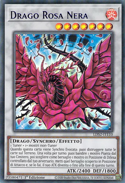 Drago Rosa Nera 