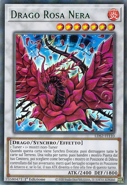 Drago Rosa Nera 