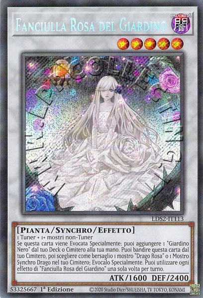 Fanciulla Rosa del Giardino