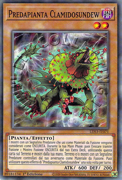 Predapianta Clamidosundew
