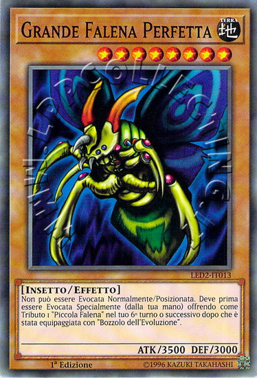 Grande Falena Perfetta