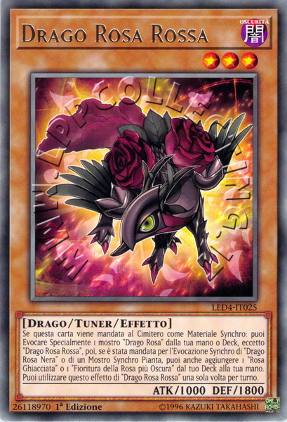 Drago Rosa Rossa