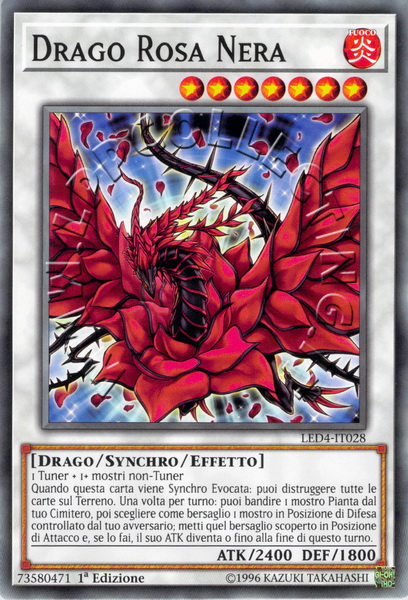 Drago Rosa Nera 