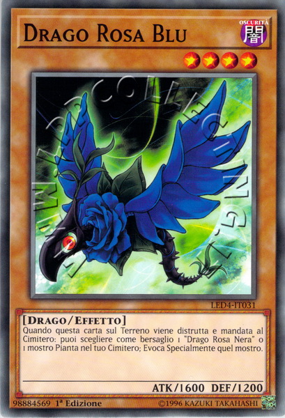 Drago Rosa Blu