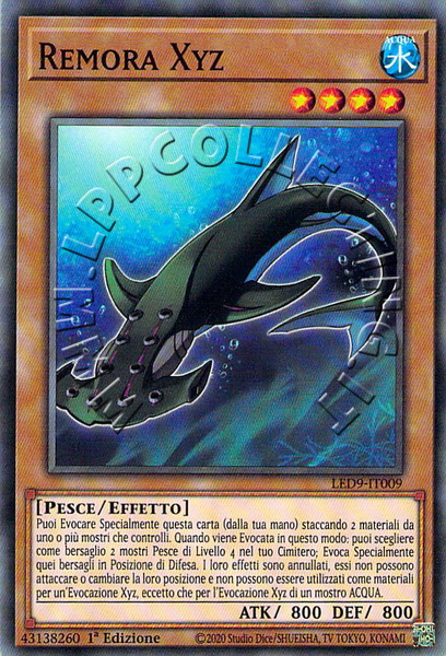 Remora Xyz