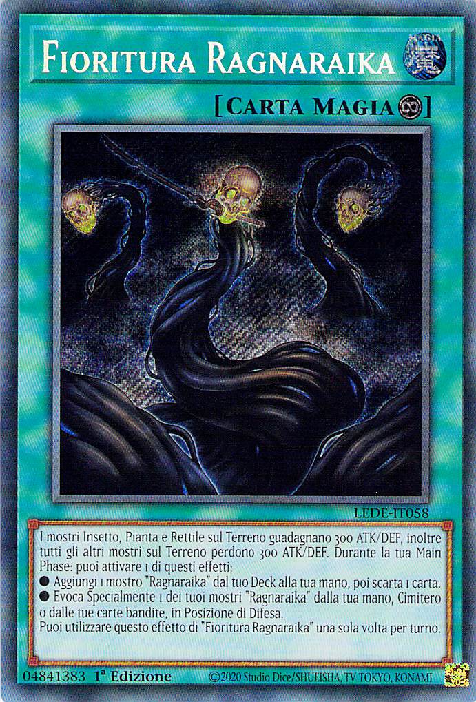 Fioritura Ragnaraika